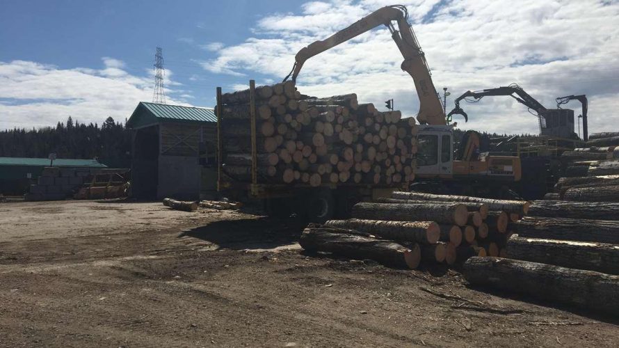 La scierie de PetitSaguenay renait Opérations ForestièresOpérations Forestières